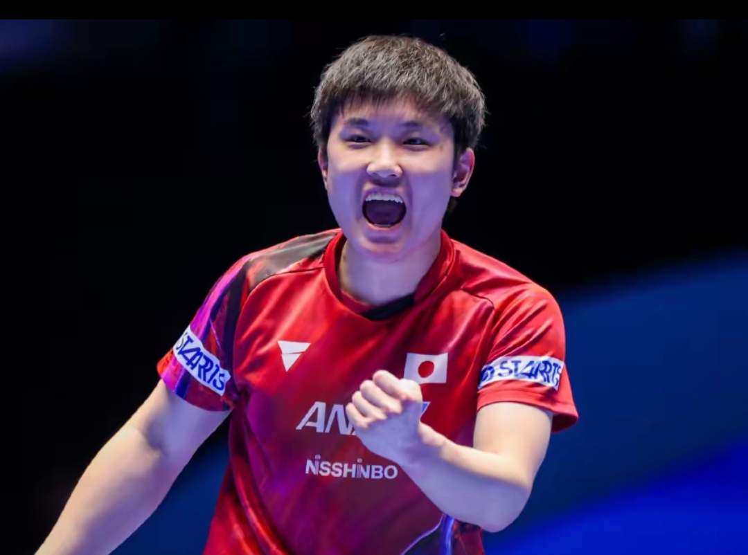 计划中最引 计划中最引